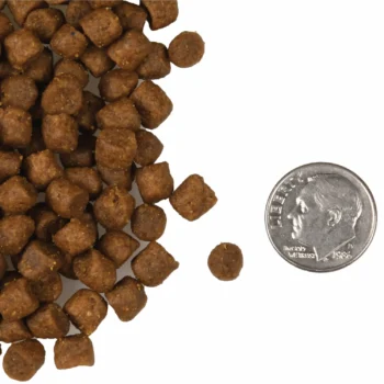 Fromm 福摩 - Surf & Turf  三文魚、鴨肉配方[無穀物][全貓糧] - Image 3