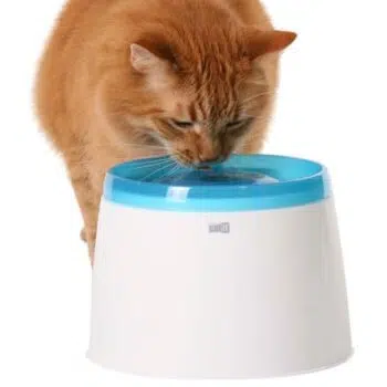 Cat it 貓用瀑布式過濾飲水機 - 2公升 - Image 2