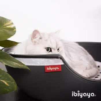 ibiyaya 小巨蛋寵物床窩-紅 IBI-FB1308-R - Image 4