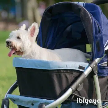 ibiyaya IBBI頭等艙-藍 ￼IBI-FS1202-NB - Image 2