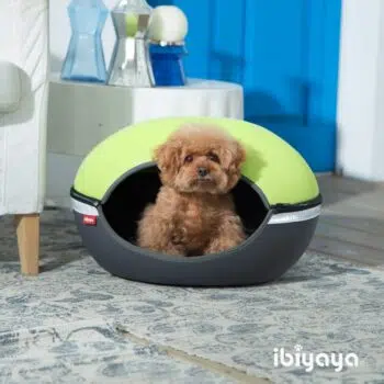 ibiyaya 小巨蛋寵物床窩-綠 IBI-FB1308-G - Image 5