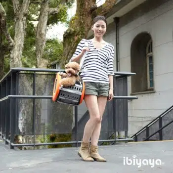 ibiyaya 五彩繽紛寵物推車提包組-寶藍 IBI-FS1009-B - Image 2