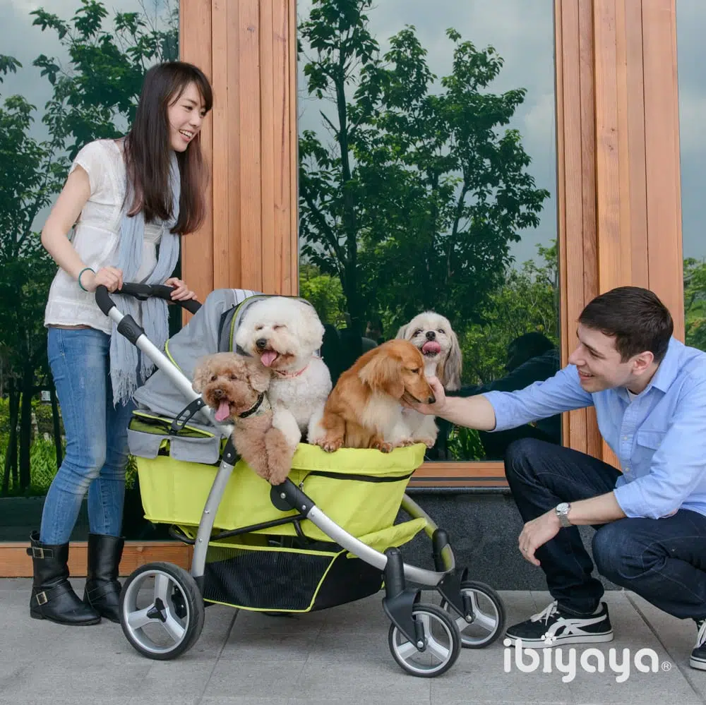 G1 (1) ibiyaya IBBI頭等艙-綠灰 IBI-FS1202-G - 圖片 6