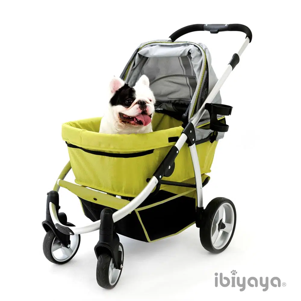 Z ibiyaya IBBI頭等艙-綠灰 IBI-FS1202-G - 圖片 2