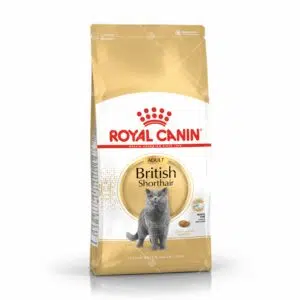 Royal Canin 法國皇家 - British Shorthair 英國短毛貓 [成貓配方]