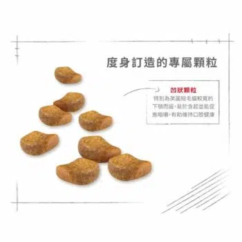 Royal Canin 法國皇家 - British Shorthair 英國短毛貓 [成貓配方] - Image 2