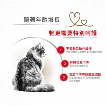 Royal Canin 法國皇家 - Ageing+12 高齡貓配方 - Image 4