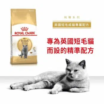Royal Canin 法國皇家 - British Shorthair 英國短毛貓 [成貓配方] - Image 3