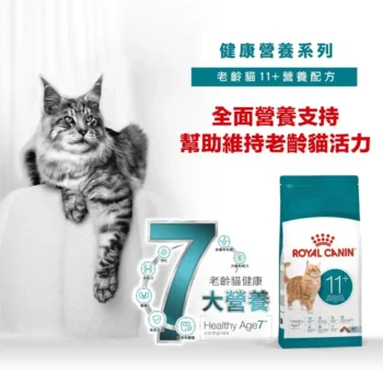 Royal Canin 法國皇家 - FHN 老齡貓 11+ 營養配方 - Image 2