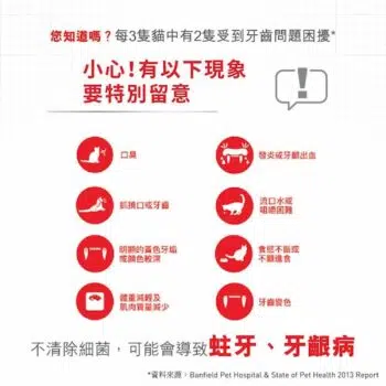 Royal Canin 法國皇家 - Dental Care 口腔護理配方 - Image 4