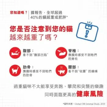 Royal Canin 法國皇家 - Light 減肥配方 - 圖片 4