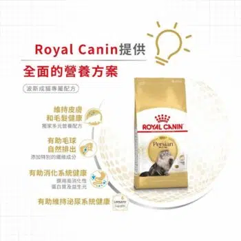 Royal Canin 法國皇家 - Persian 波斯貓 [成貓配方] - 圖片 5