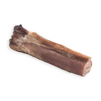 Dear Deer - Deer Shank Bone  鹿小腿骨 (S) 4" - Image 3