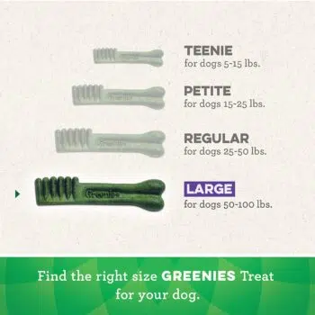 Greenies 潔齒骨 －「Large大型」12支 [18oz] - Image 3