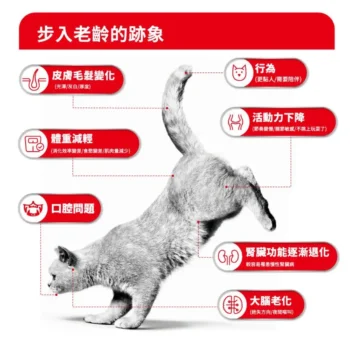 Royal Canin 法國皇家 - FHN 老齡貓 11+ 營養配方 - Image 3