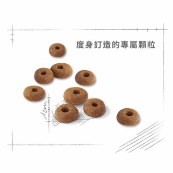 Royal Canin 法國皇家 - Fit32 成貓配方 - 圖片 2