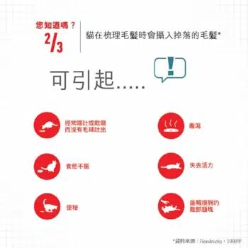 Royal Canin 法國皇家 - Hairball 強力去毛球配方 - 圖片 4