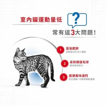 Royal Canin 法國皇家 - Indoor27 室內貓配方 - 圖片 4