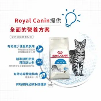 Royal Canin 法國皇家 - Indoor27 室內貓配方 - 圖片 5