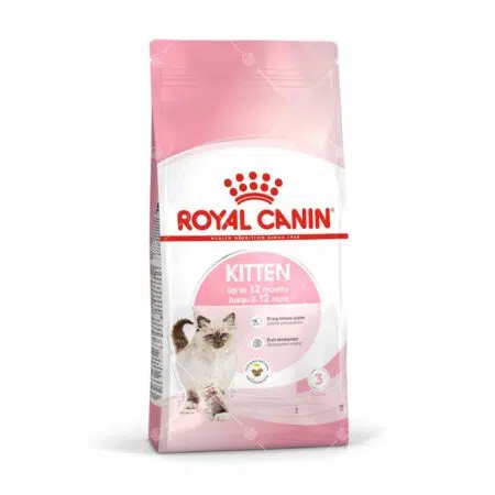 Royal Canin 法國皇家 - Kitten36 幼貓配方[4-12個月]