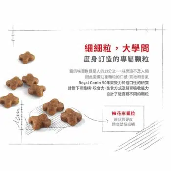 Royal Canin 法國皇家 - Kitten36 幼貓配方[4-12個月] - Image 2