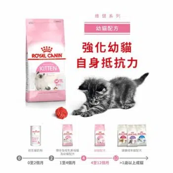 Royal Canin 法國皇家 - Kitten36 幼貓配方[4-12個月] - Image 3