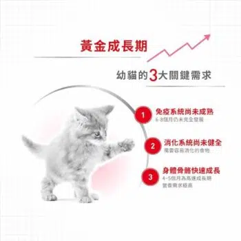Royal Canin 法國皇家 - Kitten36 幼貓配方[4-12個月] - Image 4
