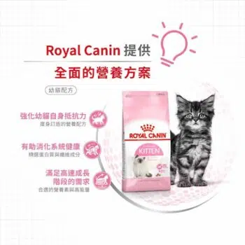 Royal Canin 法國皇家 - Kitten36 幼貓配方[4-12個月] - Image 5