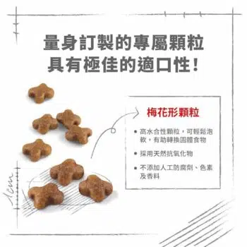 Royal Canin 法國皇家 - Mother & Baby Cat 離乳貓及母貓營養配方 [1-4個月] - 圖片 2