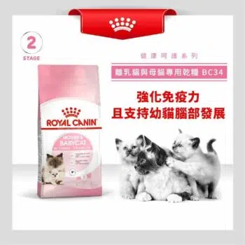 Royal Canin 法國皇家 - Mother & Baby Cat 離乳貓及母貓營養配方 [1-4個月] - 圖片 3