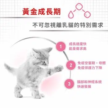 Royal Canin 法國皇家 - Mother & Baby Cat 離乳貓及母貓營養配方 [1-4個月] - 圖片 4