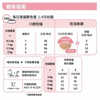 Royal Canin 法國皇家 - Mother & Baby Cat 離乳貓及母貓營養配方 [1-4個月] - 圖片 6