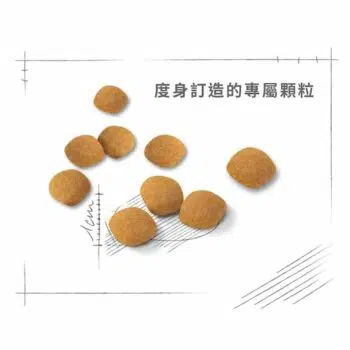 Royal Canin 法國皇家 - PROTEIN Exigent 超級營養配方 - 圖片 2