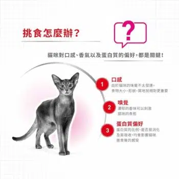 Royal Canin 法國皇家 - PROTEIN Exigent 超級營養配方 - 圖片 4