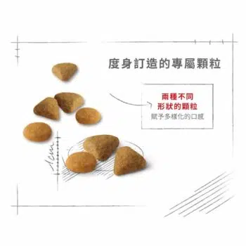 Royal Canin 法國皇家 - SAVOUR Exigent 挑咀貓配方 - 圖片 2