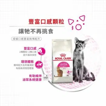 Royal Canin 法國皇家 - SAVOUR Exigent 挑咀貓配方 - 圖片 5