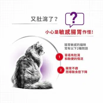 Royal Canin 法國皇家 - Sensible33 腸胃敏感配方 - Image 4