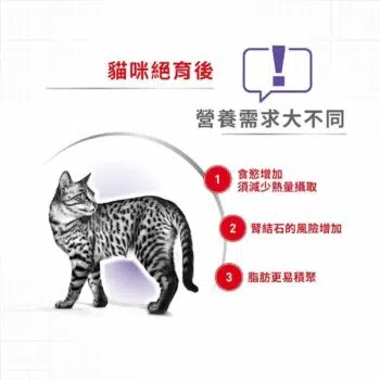 Royal Canin 法國皇家 - Sterilised37 絕育貓配方 - Image 4