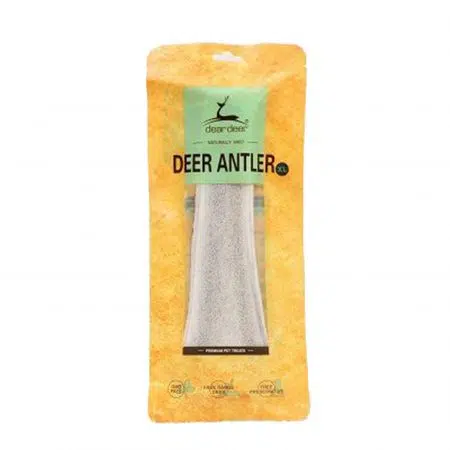 Dear Deer - Deer Antler 鹿角(XL)