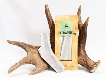 Dear Deer - Deer Antler 鹿角(XL) - Image 2