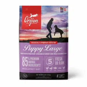 Orijen 渴望 - Puppy Large雞肉[大型幼犬]