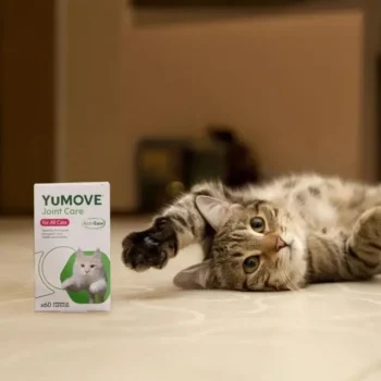 Lintbells YuMOVE - 健貓關節寶 60粒 [貓用] - Image 3