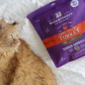 Stella & Chewy's - Tummy Ticklin'Turkey Dinners [火雞肉配方][全貓] - Image 4