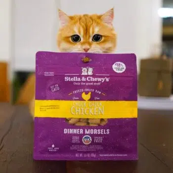 Stella & Chewy's - Chick,Chick,Chicken Dinners [雞肉配方][全貓] - 圖片 3