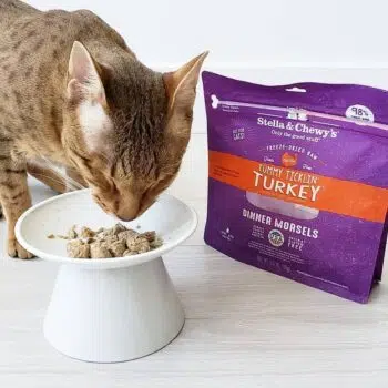 Stella & Chewy's - Tummy Ticklin'Turkey Dinners [火雞肉配方][全貓] - Image 3