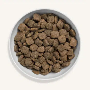 Canagan 原之選 - Grass Fed Lamb 無穀物放牧羊配方 [全犬-中大型犬糧] - Image 2