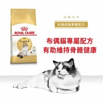 Royal Canin 法國皇家 - Ragdoll 布偶貓 [成貓配方] - 圖片 3