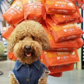Stella & Chewy's - Super Beef Meal Mixers [牛肉][乾糧伴侶][全犬] - Image 4