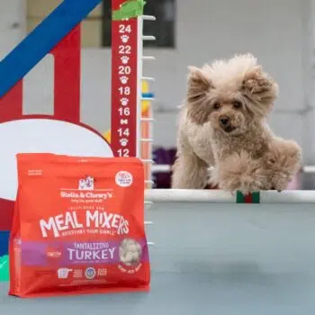 Stella & Chewy's - Tantalizing Turkey Meal Mixers [火雞肉][乾糧伴侶][全犬] - Image 3