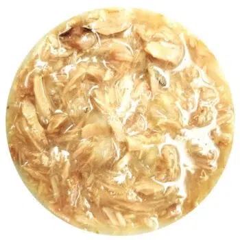 Monge Fruits 鮮果系列 - 吞拿魚、蘆薈80g[幼貓] - Image 2